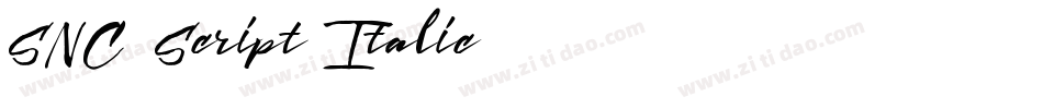 SNC Script Italic字体转换